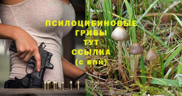 стаф Краснослободск