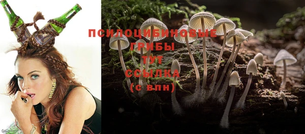 каннабис Коряжма
