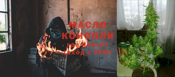 стаф Краснослободск