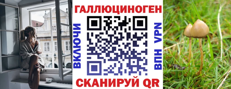 Псилоцибиновые грибы Cubensis  Купить где  Бирск 